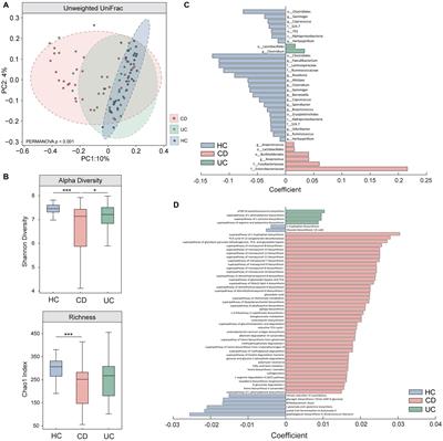 Brain signatures of chronic gut inflammation